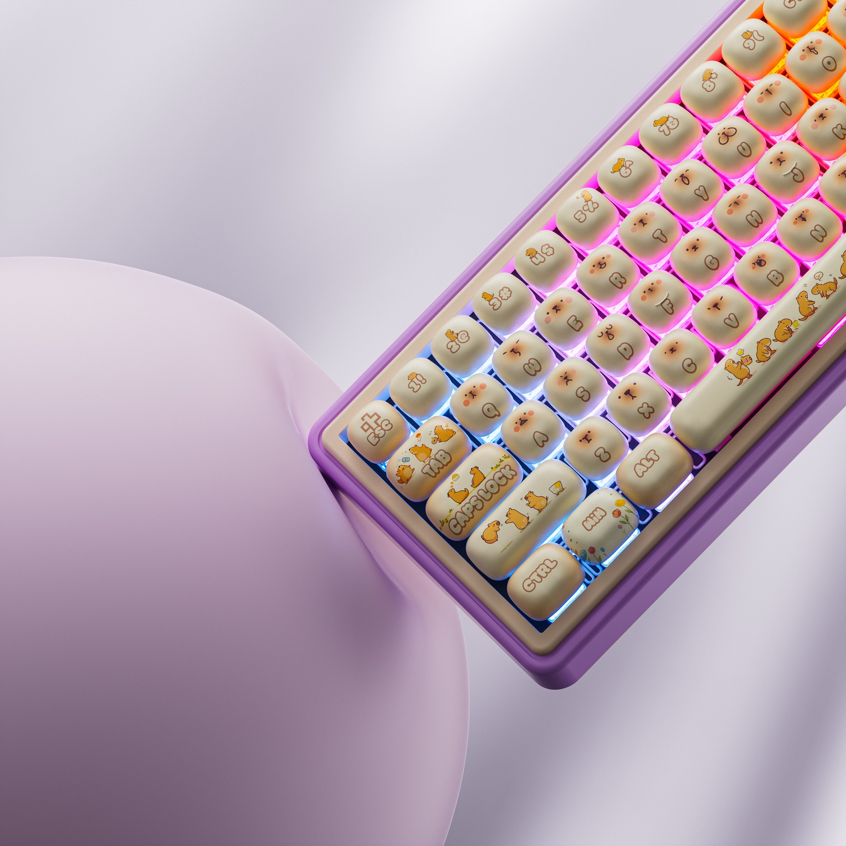 QwertyKey65 Pro Capybara Bluetooth Wireless Limited Edition VIA Hotswap RGB Mechanical Gaming Keyboard