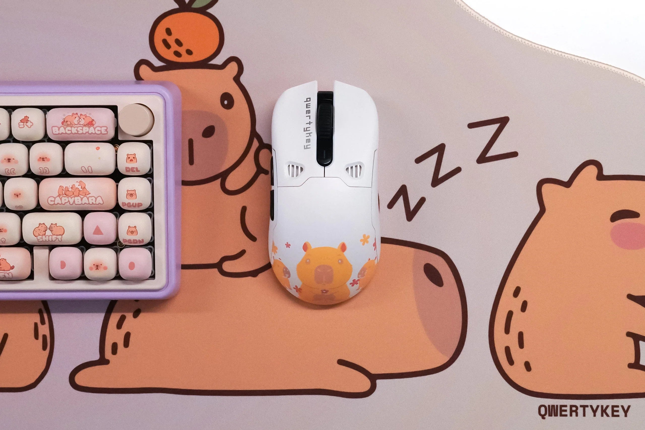 QKM1 Capybara White Mouse Cover