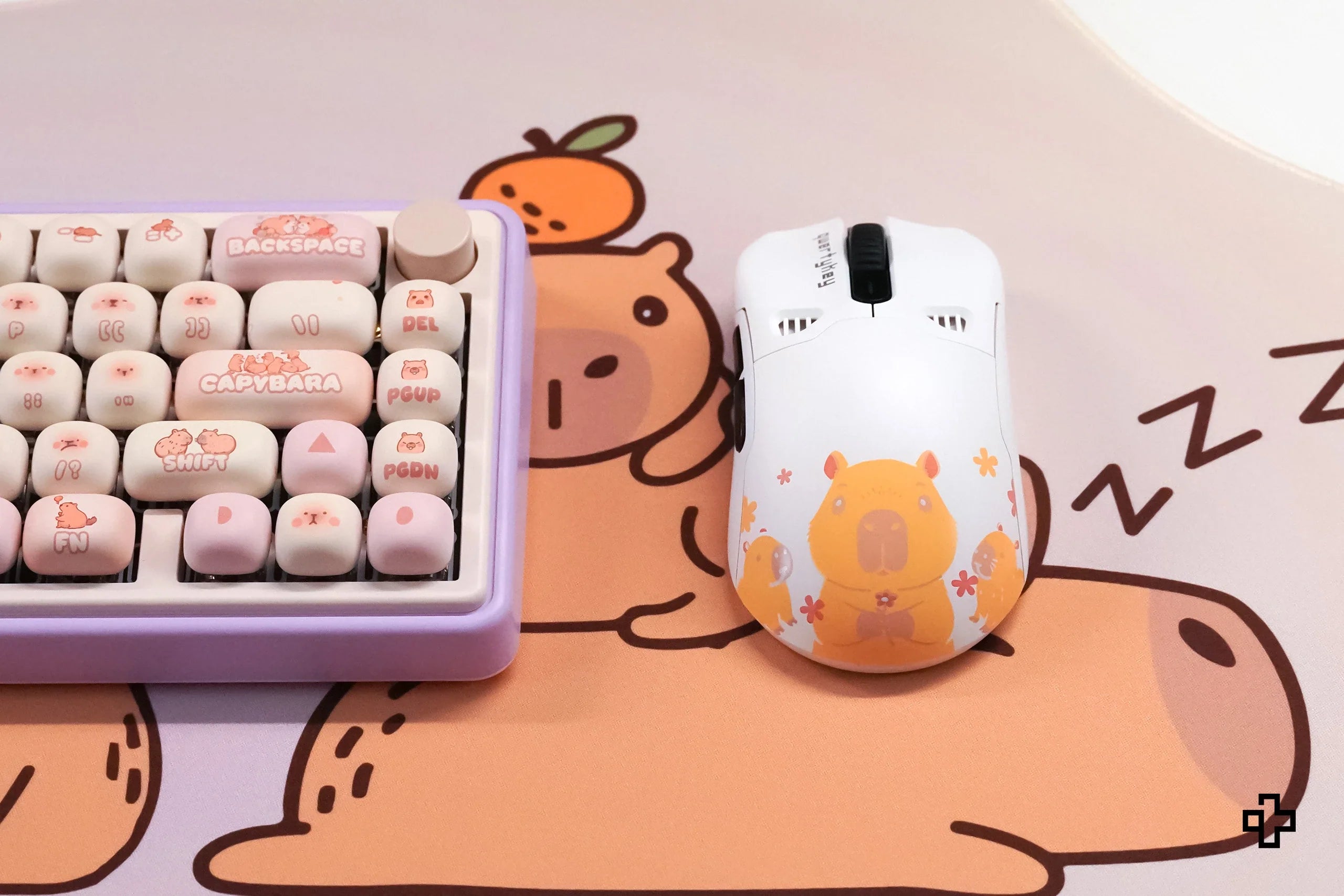 QKM1 Capybara White Mouse Cover