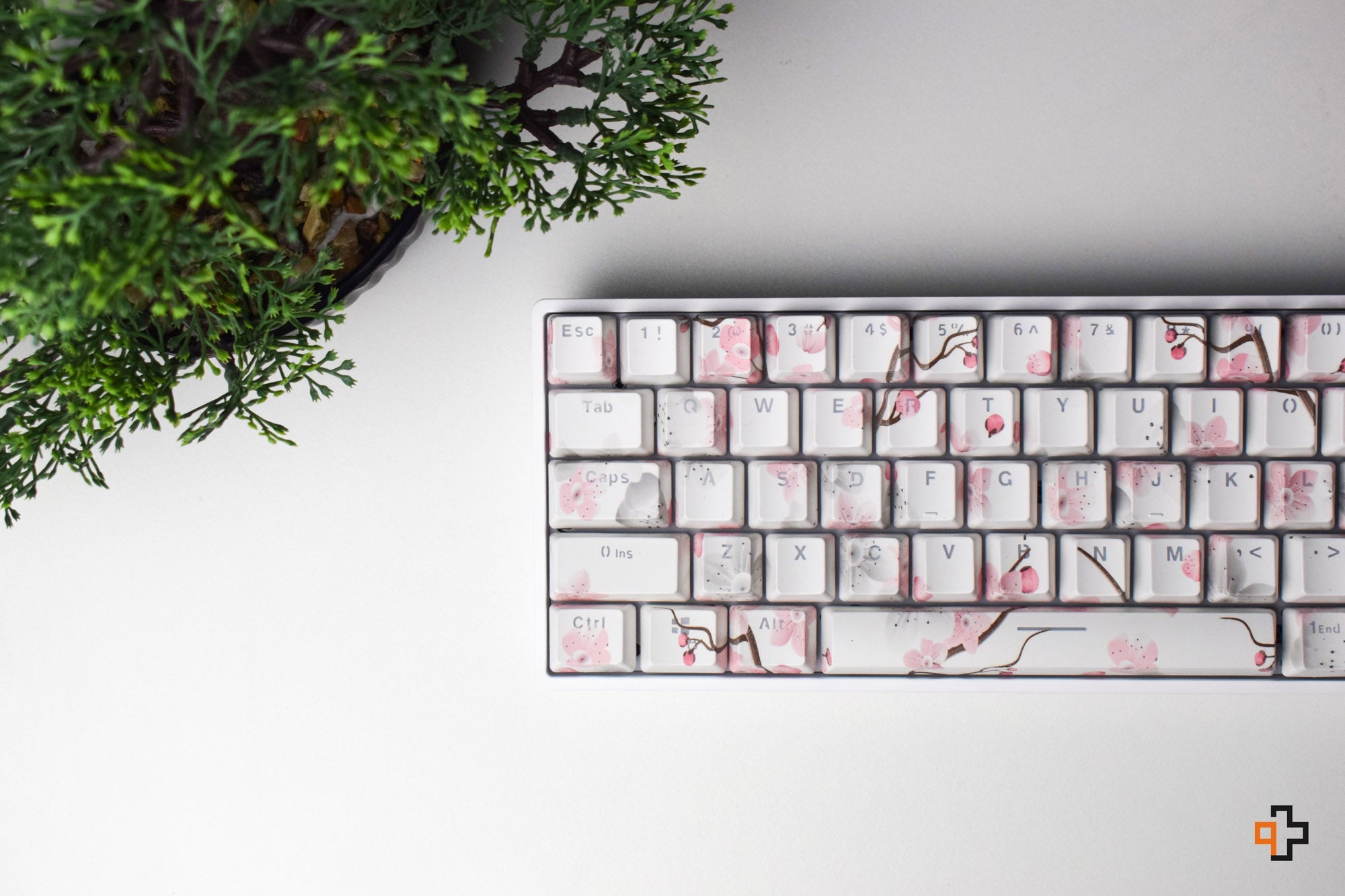 Set Keycaps QWERTY Sakura Translucent Profile OEM Material ABS – double shot - QwertyKey
