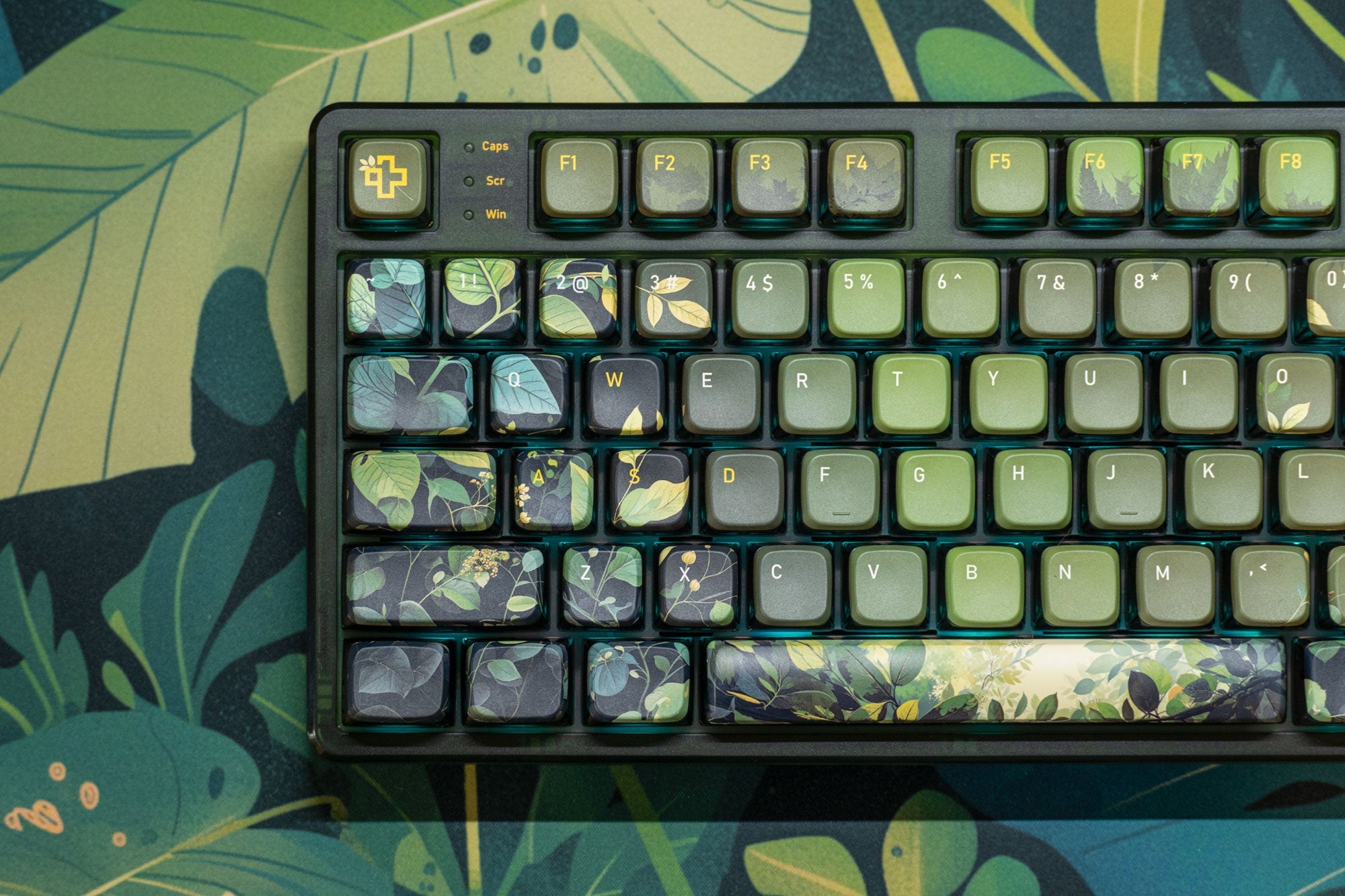 QwertyKey80 Leaf Bluetooth Wireless Hotswap RGB QMK/VIA Gasket Mounted Mechanical Gaming Keyboard with Screen