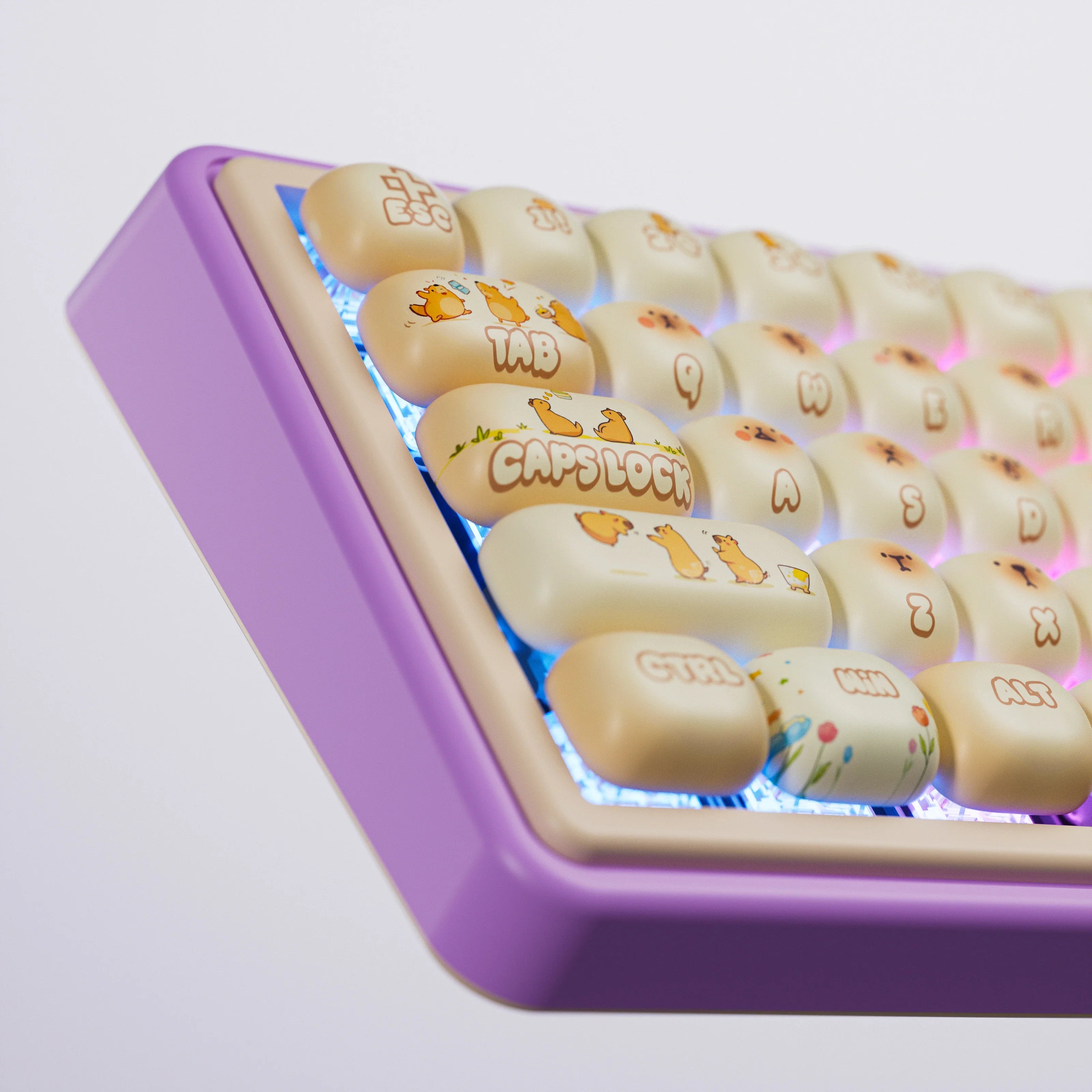 QwertyKey65 Pro Capybara Bluetooth Wireless Limited Edition VIA Hotswap RGB Mechanical Gaming Keyboard