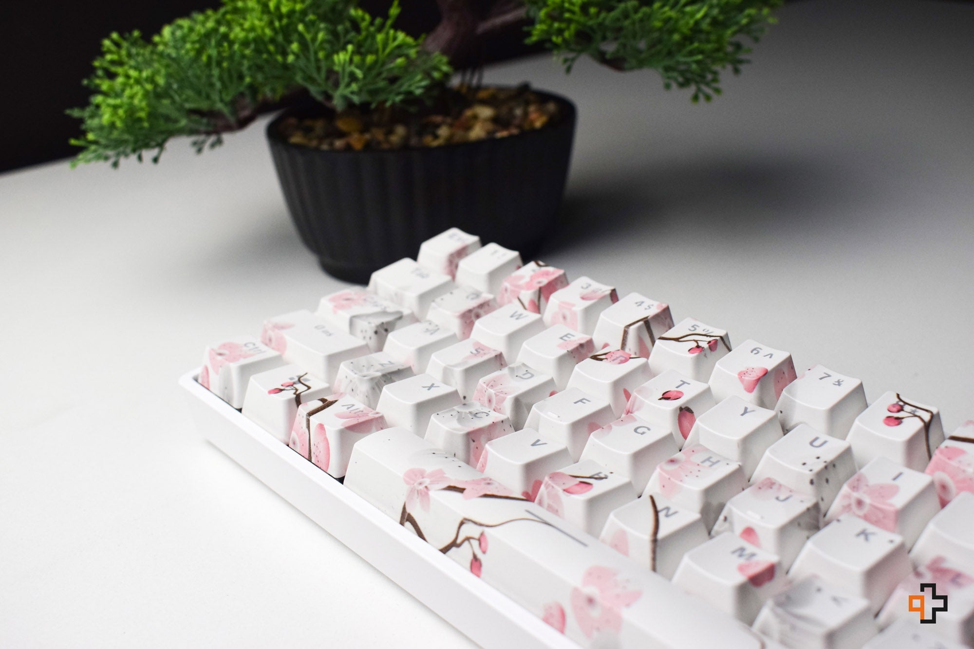 Set Keycaps QWERTY Sakura Translucent Profile OEM Material ABS – double shot - QwertyKey